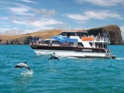 Akaroa Day Tour From Christchurch