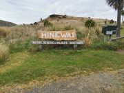 Hinewai Reserve