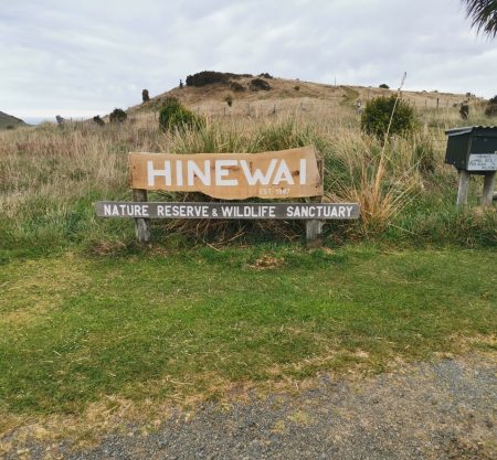 Hinewai Reserve