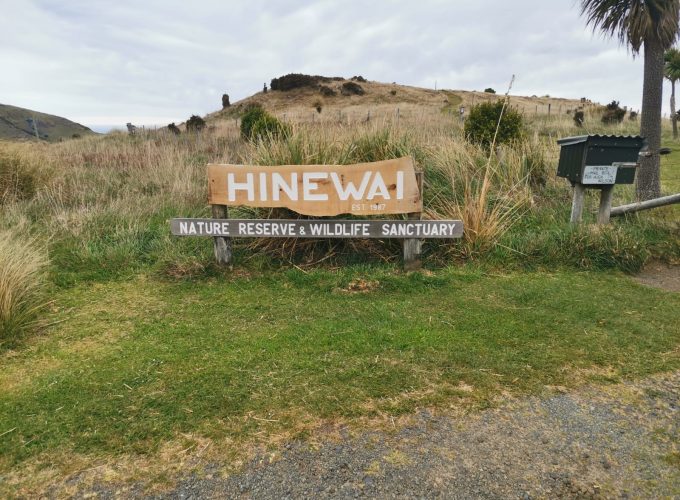 Hinewai Reserve