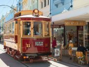 Christchurch Day Tour From Akaroa