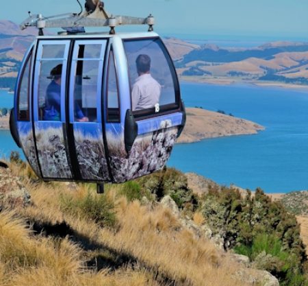 Christchurch Day Tour From Akaroa (Upto 17 Pax) – HD32