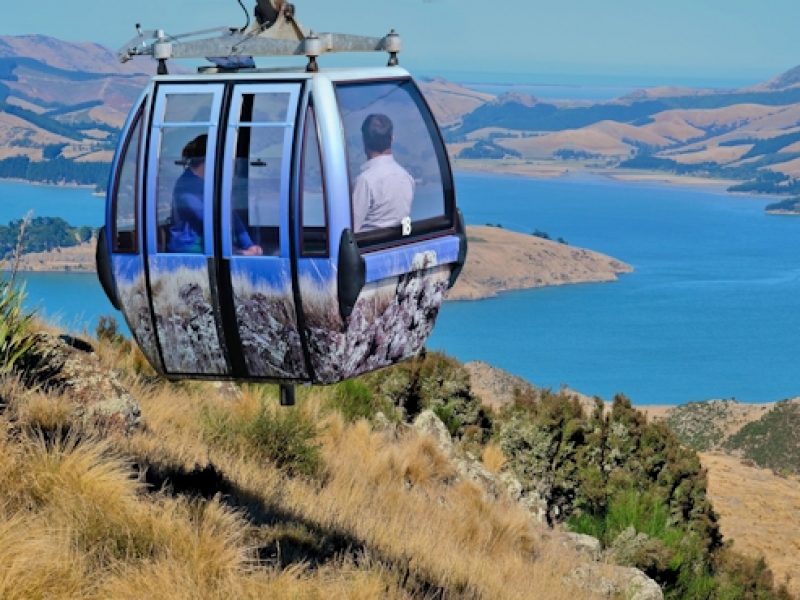 Christchurch Day Tour From Akaroa (Upto 17 Pax) – HD32