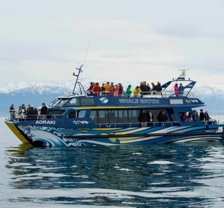 kaikoura whale watch day tour from christchurch