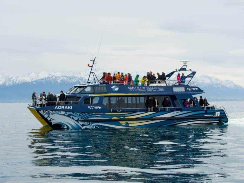 kaikoura whale watch day tour from christchurch