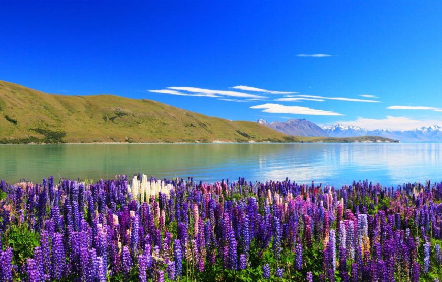 Lake Tekapo Private Day Tour From Christchurch – HD60