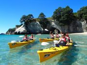 coromandel