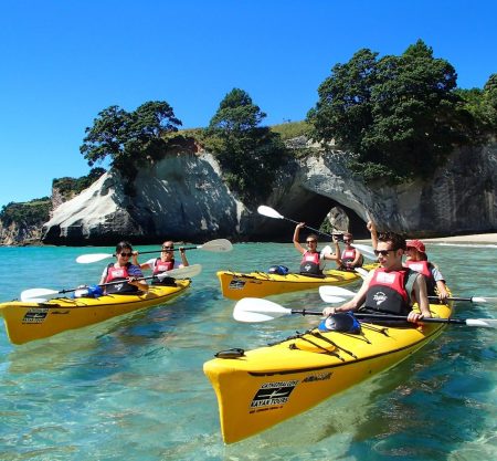 coromandel