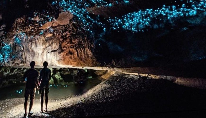 things to do in waitomo caves